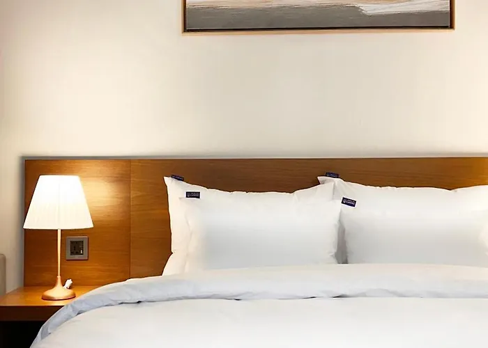 The Camino Hostel *
